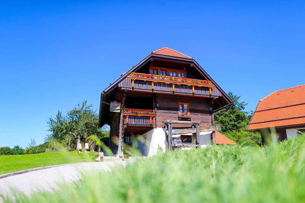 Country House Na Skaluc Guest House Lasko Exterior photo