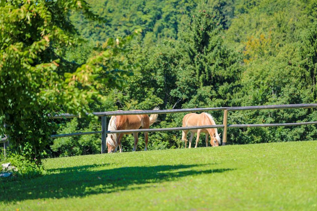 Country House Na Skaluc Guest House Lasko Exterior photo