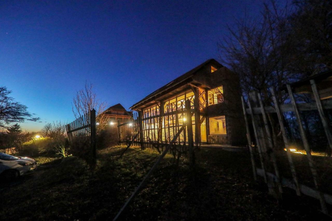 Country House Na Skaluc Guest House Lasko Exterior photo